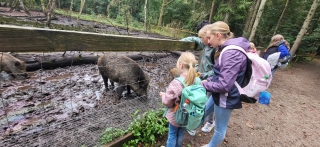 SZ-Hattstedt-Tierpark_1