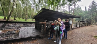 SZ-Hattstedt-Tierpark_10