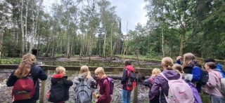 SZ-Hattstedt-Tierpark_13