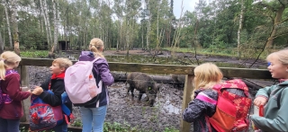 SZ-Hattstedt-Tierpark_15