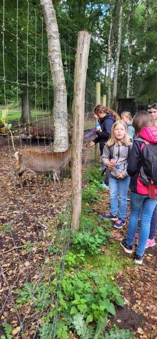 SZ-Hattstedt-Tierpark_17