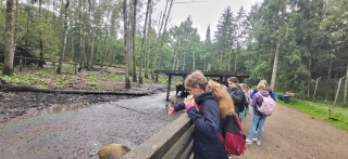 SZ-Hattstedt-Tierpark_7